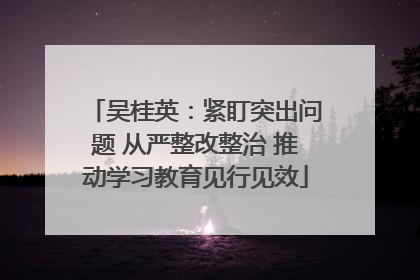 吴桂英：紧盯突出问题 从严整改整治 推动学习教育见行见效